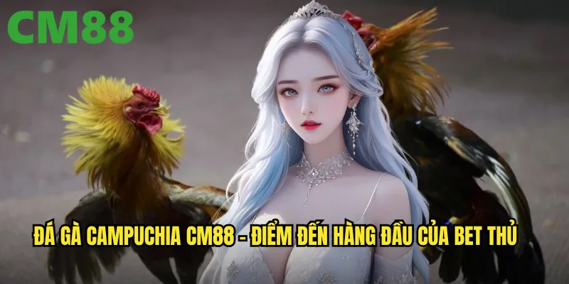 Đá Gà Campuchia cm88 - Trải Nghiệm Đỉnh Cao Sân Chơi Quốc Tế 2 Đá gà Campuchia cm88 - Điểm đến hàng đầu của bet thủ
