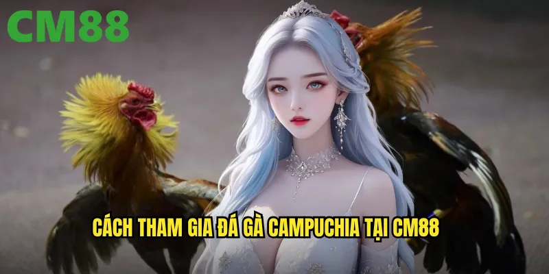 Đá Gà Campuchia cm88 - Trải Nghiệm Đỉnh Cao Sân Chơi Quốc Tế 3 Cách tham gia đá gà Campuchia tại cm88