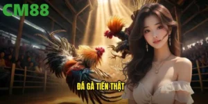 đá gà tiền thật