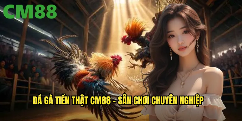 Đá gà tiền thật cm88 - Sân chơi chuyên nghiệp