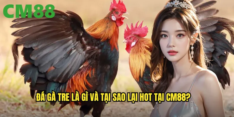 Đá Gà Tre cm88 - Nét Văn Hóa Truyền Thống Trên Nền Tảng Hiện Đại 2 Đá gà tre là gì và tại sao lại hot tại cm88?