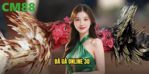 đá gà online 3D