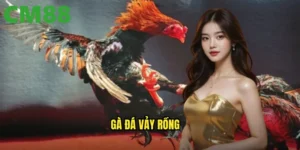 gà đá vảy rồng