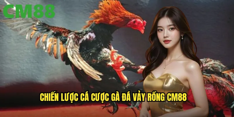 Chiến lược cá cược gà đá vảy rồng cm88