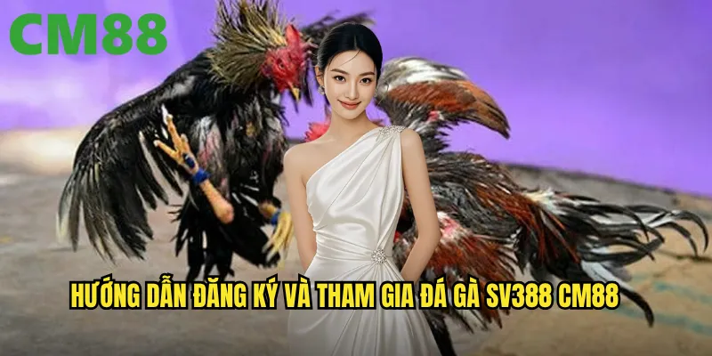 Đá Gà SV388 cm88 - Liên Kết Với Nhà Cái Uy Tín Hàng Đầu Châu Á 3 Hướng dẫn đăng ký và tham gia đá gà SV388 cm88