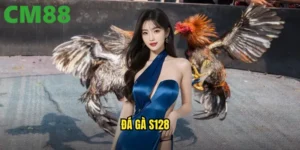 đá gà S128