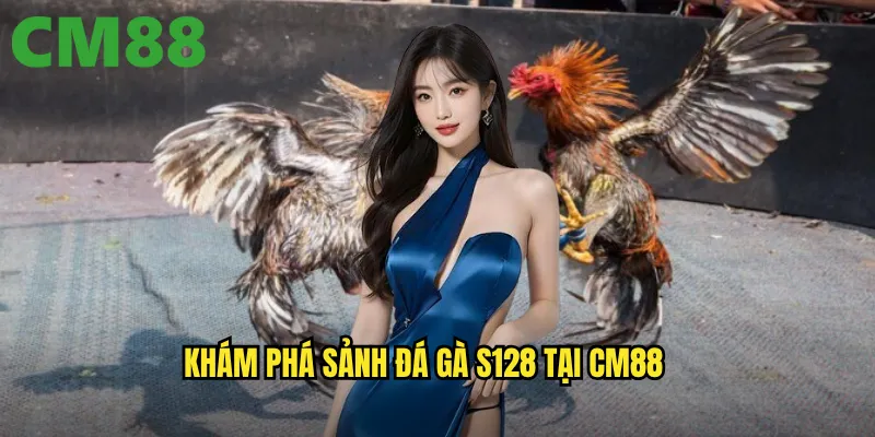 Khám phá sảnh đá gà S128 tại cm88