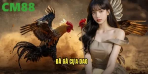 đá gà cựa dao