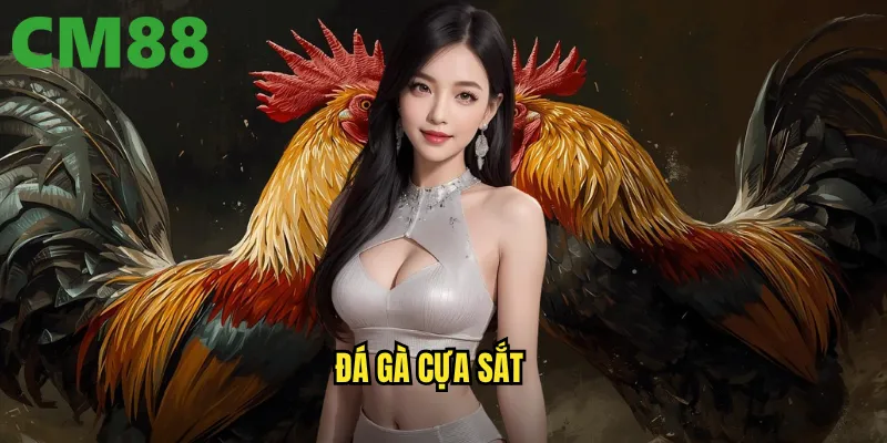 Đá Gà Cựa Sắt cm88 - Sức Mạnh Thép Trong Từng Đòn Tấn Công 1 đá gà cựa sắt