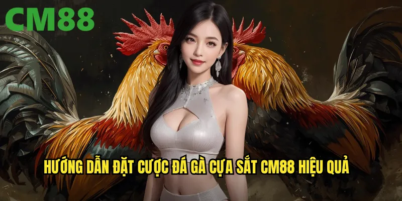 Đá Gà Cựa Sắt cm88 - Sức Mạnh Thép Trong Từng Đòn Tấn Công 3 Hướng dẫn đặt cược đá gà cựa sắt cm88 hiệu quả