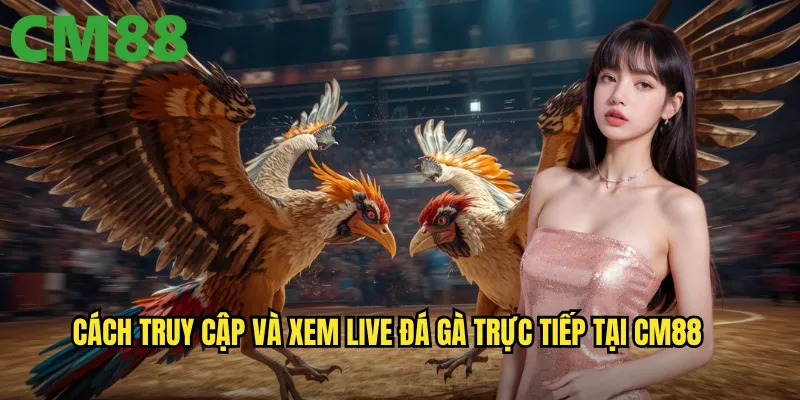 Live Đá Gà Trực Tiếp cm88 - Theo Dõi Mọi Trận Đấu Với Chất Lượng HD 3 Cách truy cập và xem live đá gà trực tiếp tại cm88
