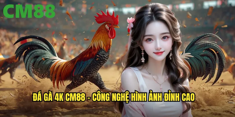 Đá Gà 4K cm88 - Hình Ảnh Siêu Nét Cho Trải Nghiệm Hoàn Hảo 2 Đá gà 4k cm88 - Công nghệ hình ảnh đỉnh cao