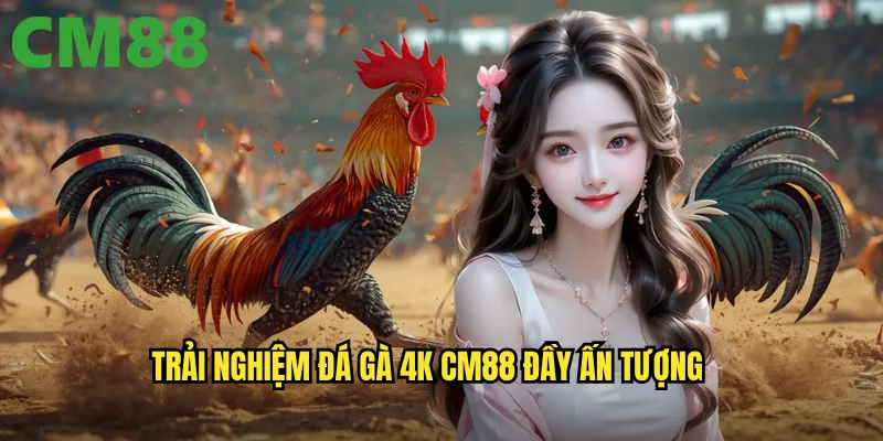 Đá Gà 4K cm88 - Hình Ảnh Siêu Nét Cho Trải Nghiệm Hoàn Hảo 3 Trải nghiệm đá gà 4k cm88 đầy ấn tượng