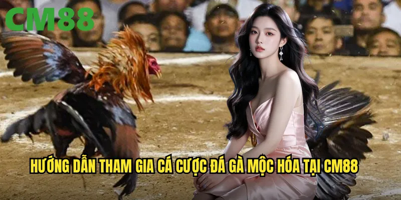 Đá Gà Mộc Hóa Cm88 - Nơi Hội Tụ Những Trận Đấu Đặc Sắc Nhất 3 Hướng dẫn tham gia cá cược đá gà mộc hóa tại cm88