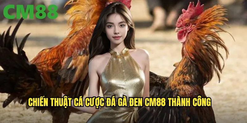 Chiến thuật cá cược đá gà đen cm88 thành công